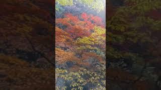  지고 다시 떠오를 추억~