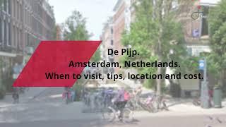 De Pijp, Amsterdam Guide - What to do, When to visit, How to reach, Cost  Tripspell