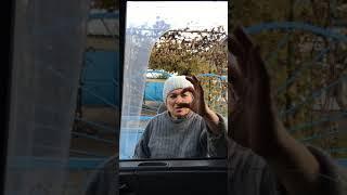 Как заработать на грецком орехе?Вся правда!