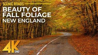 Autumn Scenic Roads of New England 4K - Fall Foliage in New Hampshire - Best Shots of Scenic Drive