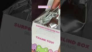  meowchi plush sweet mochi kitties MINI cat Unboxing Blindbox #shorts #blindbox  #kawaii #unboxing