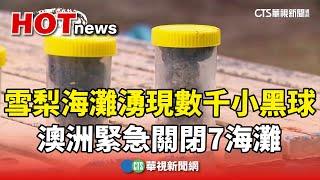 雪梨著名海灘湧現數千小黑球！　澳洲緊急關閉7海灘｜華視新聞 20241018 @CtsTw