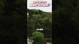 바람 없는데.. 빠르게 날라가는 새는 아니에요? -  무엇인지 아는분은 댓글 주세요!