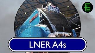 STEAM LOCOS IN PROFILE - Volume One - DVD Sample - LNER A4s