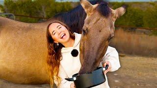 giving my horse tea because he's never had it before