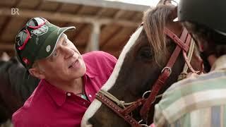 Reiten lernen in 5 Tagen   Schmidt Max   Freizeit   Natural Horsemanship