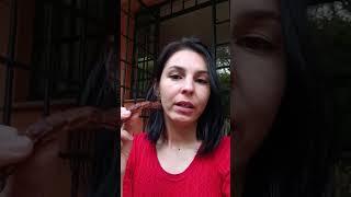 Дерево тамаринда относится к бобовым. Родом из Восточной Африки #kenya #путешествиесдетьми