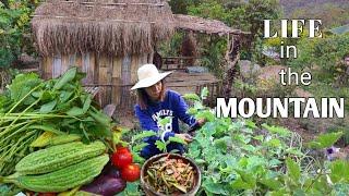 Harvesting Period | Slow life in the Mountain Phil.