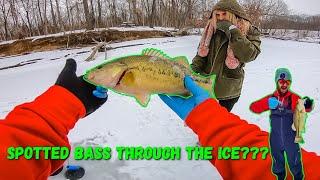 Spotted Bass Through the ICE???