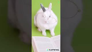 Cute Rabbit Reading Book "How To Beat Lion" | Info Hifi