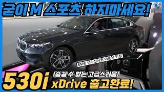 [성수동 이팀장 530i xDrive 출고] 530i xDrive 인터렉션바 vs 530i xDrive 바월스앤 윌킨스 스피커 중에 고민하시던 고객님의 최종 선택!