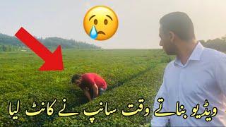 Prank Gone Wrong | Tahir Khan Prank On Kabir Afridi |