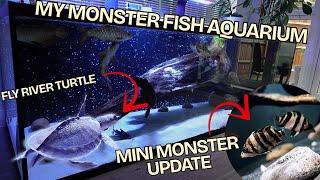 MY MONSTER FISH MEGA TANK- UPDATES