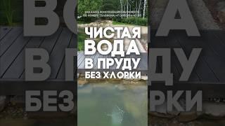 Чистая вода в пруду без хлорки