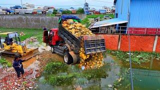 Start New Project Flooded area Landfill !! Bulldozer KomatSu D20p Push Stone , 5-Ton Truck Unloading