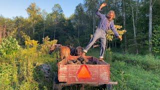 Bringing in the Firewood 🪵 | Titus Morris’ Henson Creek Farm