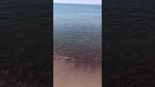 ЕДИНСТВЕННО! ЧТО   ЦЕННО ! @ВРЕМЯ @