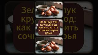 Зеленый лук круглый год: как вырастить сочные перья дома #урожай #овощи #натуральный #сад #огород