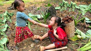 Two poor sister dug taro to sell when their mother was sick