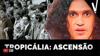 TROPICALISMO: Ascensão e debates │Artes