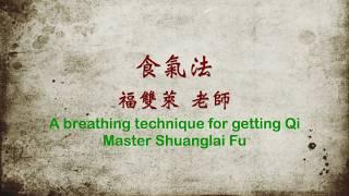 至一氣機養生修煉四法之一：食氣法 福雙萊老師 在菩提迦耶 A breathing technique for getting Qi, by Master Shuanglai Fu食氣法20200411