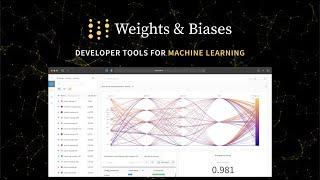 Weights and Biases Product Overview