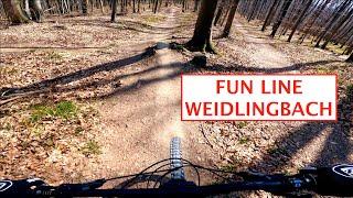 Abendrunde FUN LINE Weidlingbach 4K | Alexander Schuster | Canyon Torque