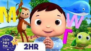 Learn ABC and Animals Song! + 2 HOURS of Nursery Rhymes and Kids Songs | Little Baby Bum