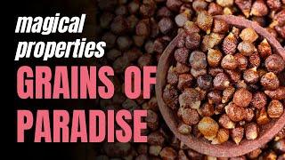 Magical Properties of Grains of Paradise