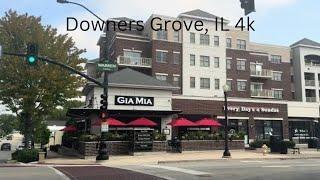 Relaxing drive around Downers Grove, IL 4k