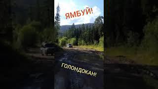 Рыбалка в верховьях рек Турка, Ямбуй, Голондокан.