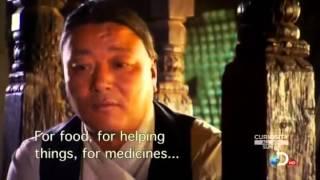 Buddhist Monk Levitation   Full Movie 360p