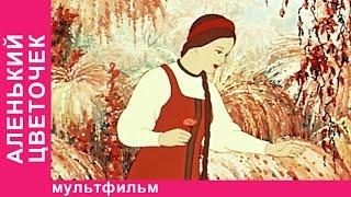 Аленький Цветочек. Советские мультфильмы. Союзмультфильм. StarMediaKids