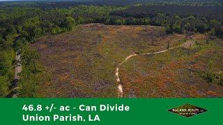 46 Acres for Sale in Union Parish, LA