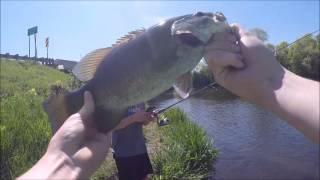 Creek Fishing for HUGE Bass