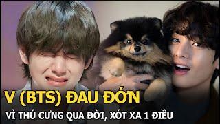 V (BTS) đau đớn vì thú cưng qua đời, xót xa 1 điều