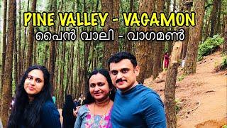 Vagamon Pine Forest, Pine Valley, Open Kitchen Barbeque, Food, Review, Peermade, Kuttikkanam, Idukki