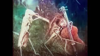 Веселые сценки из жизни животных (1913) / Happy scenes from animal life (1913) AI Upscale & Colorize