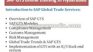 SAP GTS online training in Hyderabad