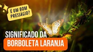 BORBOLETA LARANJA SIGNIFICADO ESPIRITUAL