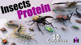 Insect Protein Comparison