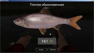 Русская Рыбалка 4 (Russian Fishing) Плотва на Комарином