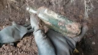 #Bottle digging with wolf spirit outdoors. #victorian bottles.