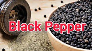 Why You Need To Eat Black Pepper Every Day!