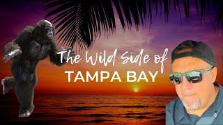 SECRETS OF TAMPA BAY'S SCENIC BEAUTY REVEALED