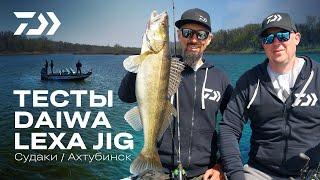 АХТУБИНСКИЕ СУДАКИ! Финальный тест DAIWA LEXA JIG!