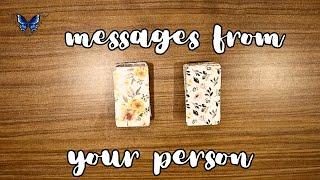  MESSAGES FROM YOUR PERSON  *pick a card* Timeless Tarot Reading 