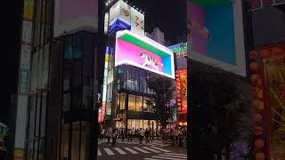 [新宿東口の猫] A Giant Cat Has Appeared in Shinjuku?! It's the Cross Shinjuku Vision 3D Screen!