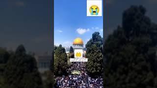 Palestineyo ke liye dua//Dua for Palestine #palestine #masjideaqsa iltemase dua#shorts#viral