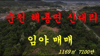 순천부동산 순천시  해룡면 신대리 토지 매매(순천 소망부동산)